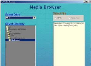 1.bmp 300x218 - Media Browser using Visual Basic