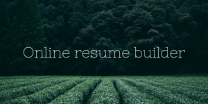 Online resume builder 1024x512 1 300x150 - Online resume builder PHP Project |  Free