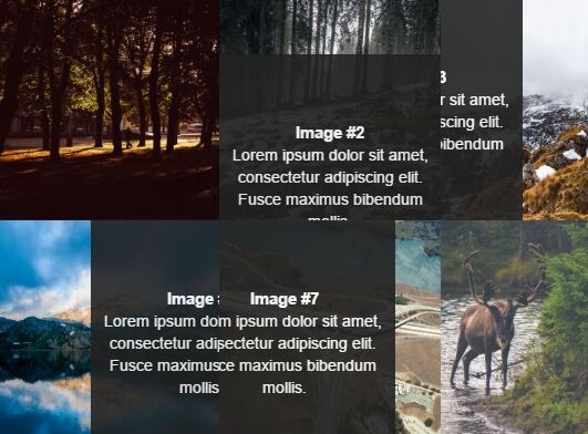 Direction aware Gallery Hover Effect jQuery SnakeGallery - Download Direction-aware Gallery Hover Effect With jQuery - SnakeGallery