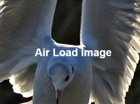 Lazy Load Images Backgrounds As Needed jQuery Air Load Image - Download Lazy Load Images & Backgrounds As Needed - jQuery Air Load Image
