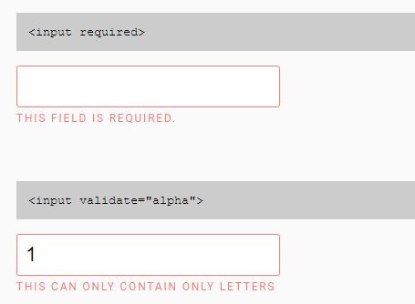 Form Field Validation jQuery Validin - Free Download Minimal Form Field Validation Plugin For jQuery - Validin