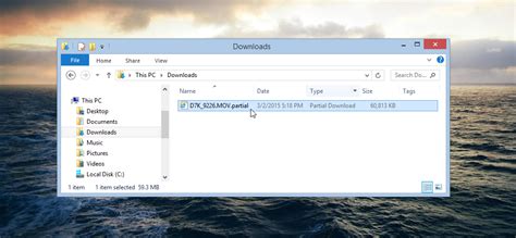 th 294 - Efficient File Download with Partial Downloads (HTTP)
