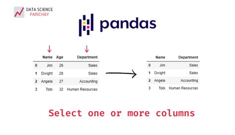 th 29 - Efficient Column Naming in Pandas Aggregation