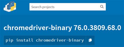 th 540 - Set Chrome Binary for Python Automation with Chromedriver