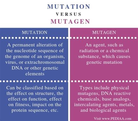 th 133 - Understanding the Distinctions: Mutation vs. Rebinding vs. Copying vs. Assignment