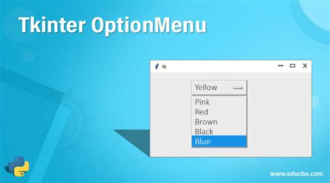 th 245 - Dynamic Optionmenu Selection Based on User Input