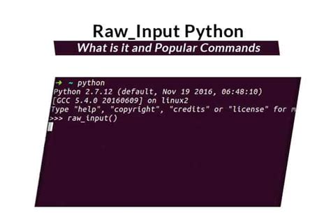 th 412 - Get User Input Easily with Python's raw_input Function