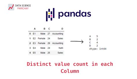 th 473 - Counting Unique Values in Pandas Column Like Qlik