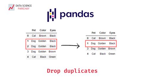 th 665 - Eliminating Duplicate Rows in Pandas Dataframe with Identical Values (Selective Columns)