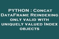 th 30 200x135 - Reindexing Concatenated Dataframes: Unique Index values required.