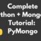 th 25 60x60 - Effortlessly Search ObjectIDs in MongoDB using PyMongo