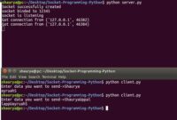 th 297 200x135 - Python Tips: Step-by-Step Guide on How to Use Raw Socket in Python