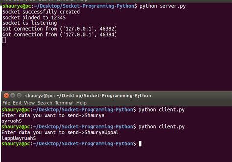 th 297 - Python Tips: Step-by-Step Guide on How to Use Raw Socket in Python