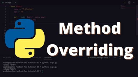 th 351 - Python's Class Override of 'Is' Behavior for Precise Programming
