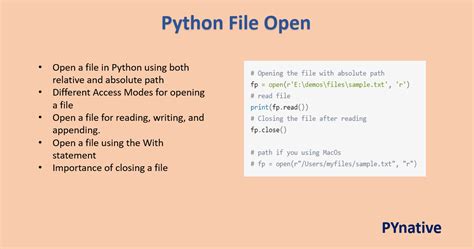 th 356 - Beginner's Guide: Opening Files with Python