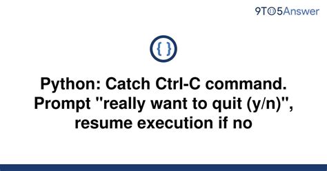 th 366 - Python: Catch Ctrl-C Command and Resume on Prompt (Y/N)