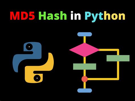 th 40 - Python vs Shell: Why Does MD5 Hash Differ?
