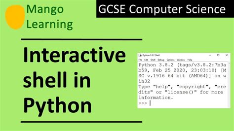 th 501 - How to check for interactive shell in Python script.