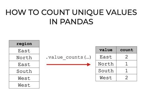 th 266 - Visualize Data with Pandas Value_counts and Matplotlib