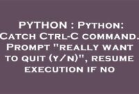 th 390 200x135 - Manage Ctrl-C in Python: Confirm Exit with 'Y/N' Prompt