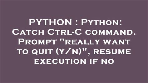 th 390 - Manage Ctrl-C in Python: Confirm Exit with 'Y/N' Prompt